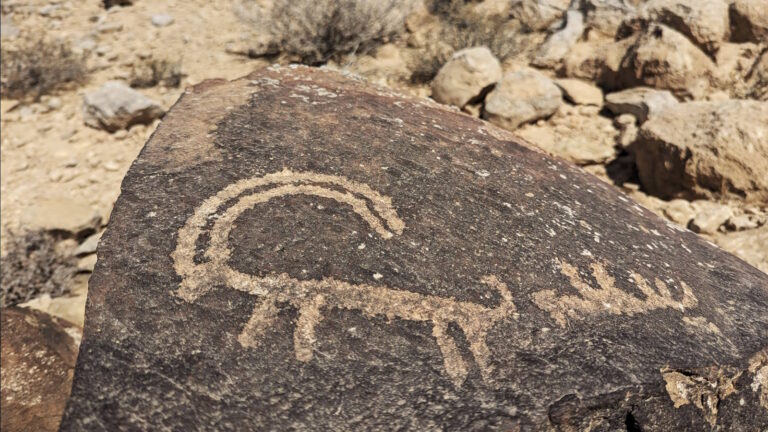 PXL_20240607_072410124