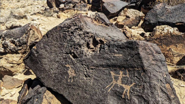 PXL_20240607_072623264 (1)