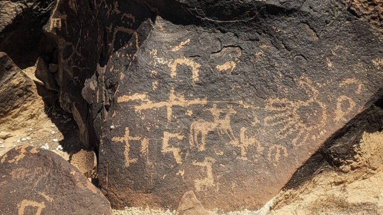 PXL_20240607_074938763.PORTRAIT.ORIGINAL