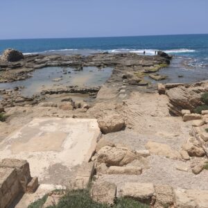 כרמל - בין הר לים
